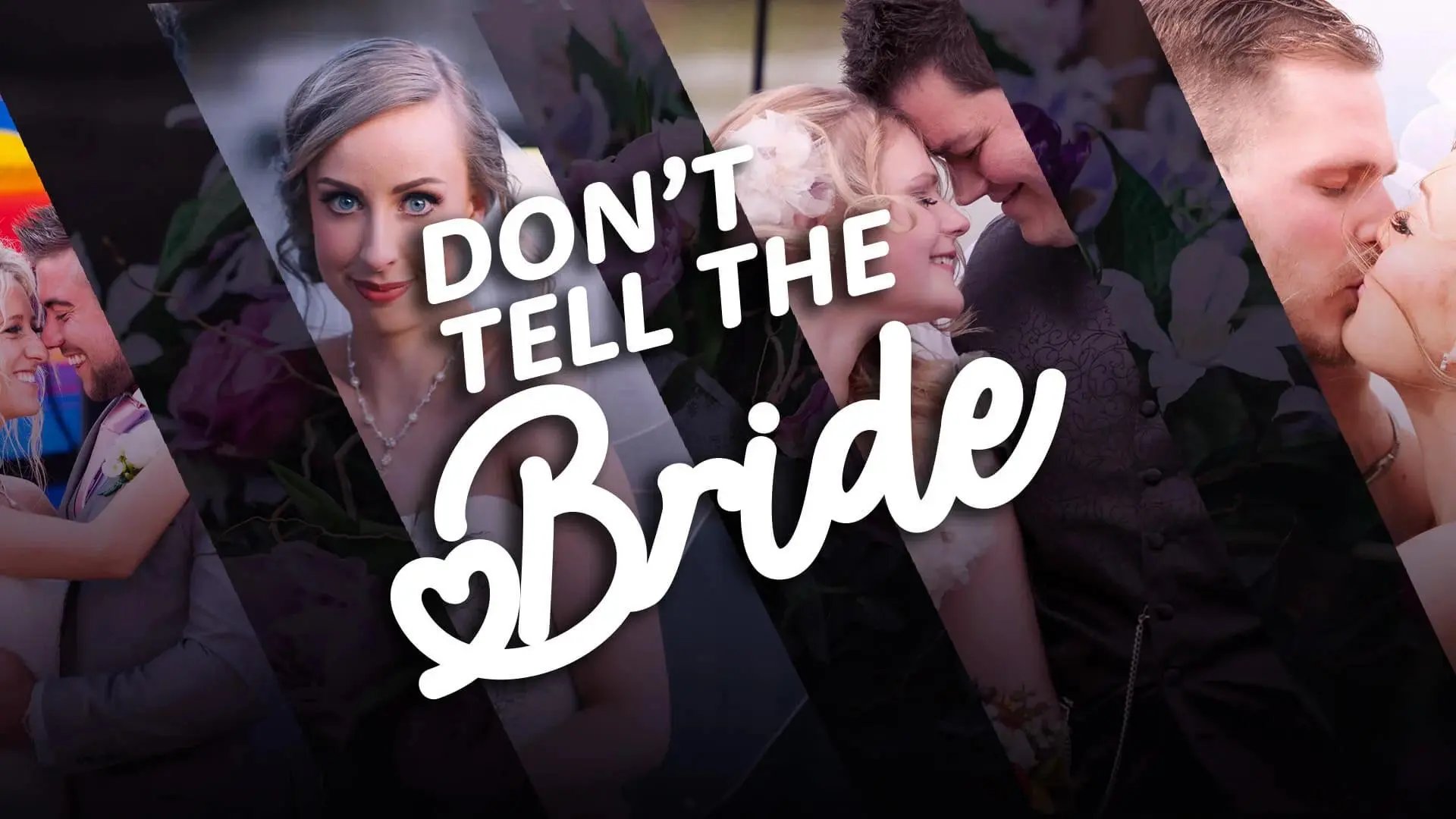 Digital Network Channels - Little Dot Studios - Don't Tell The Bride Season 13 Episode 25